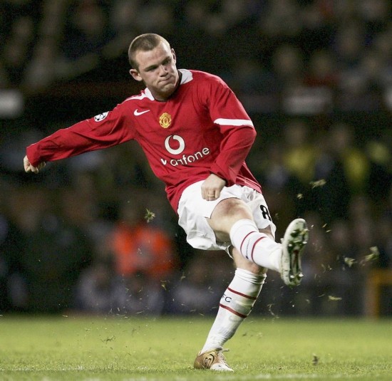 示出复苏的 示出复苏的